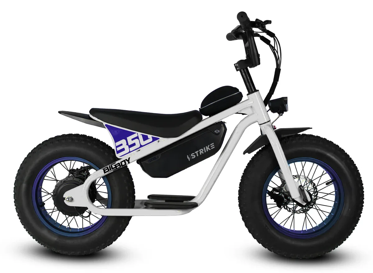 Golden Cycles Big Boy Electric Bike