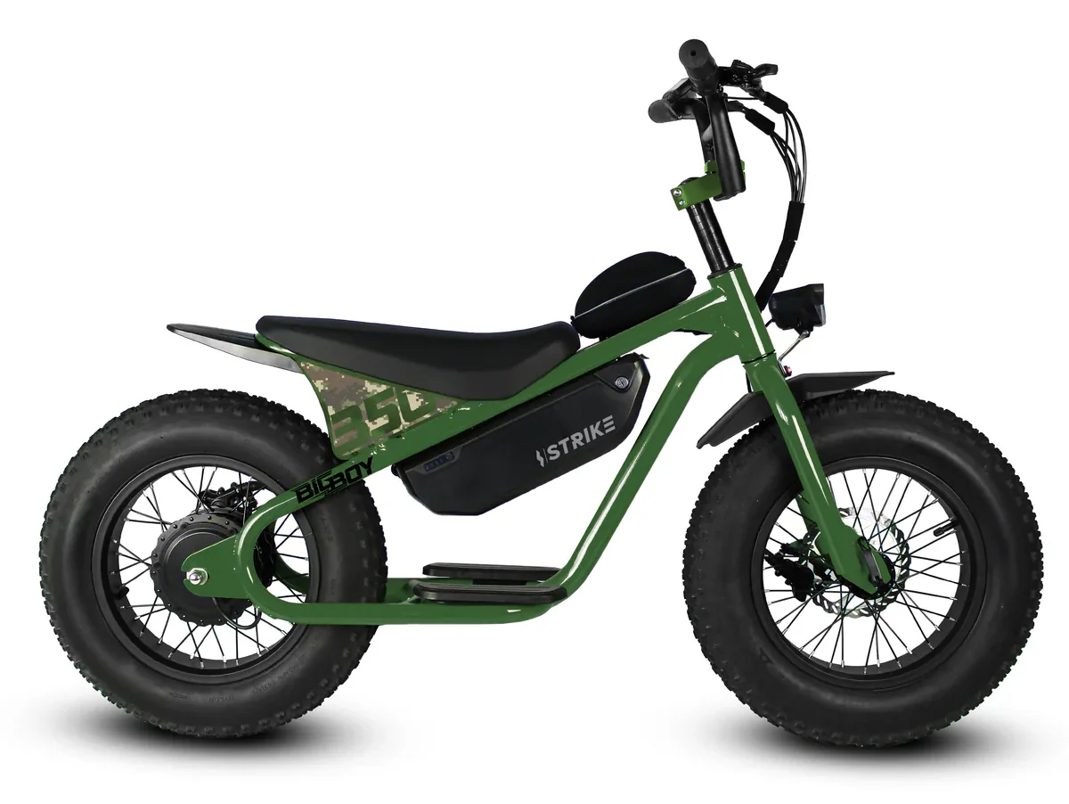 Golden Cycles Big Boy Electric Bike - Image 2