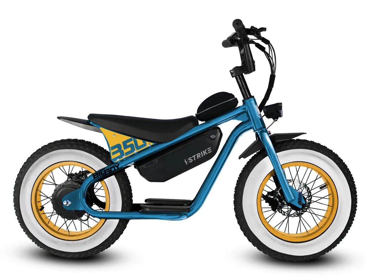 Golden Cycles Big Boy Electric Bike - Image 3