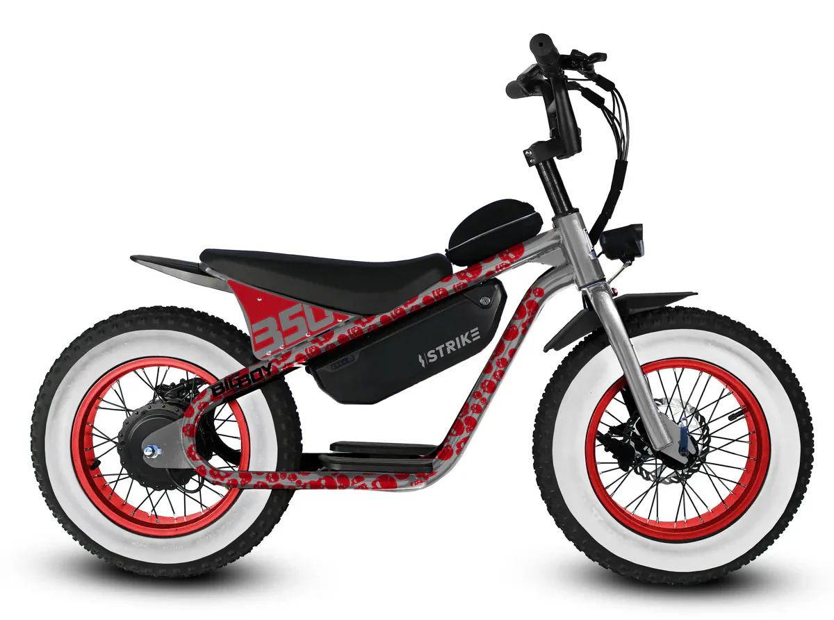 Golden Cycles Big Boy Electric Bike - Image 4