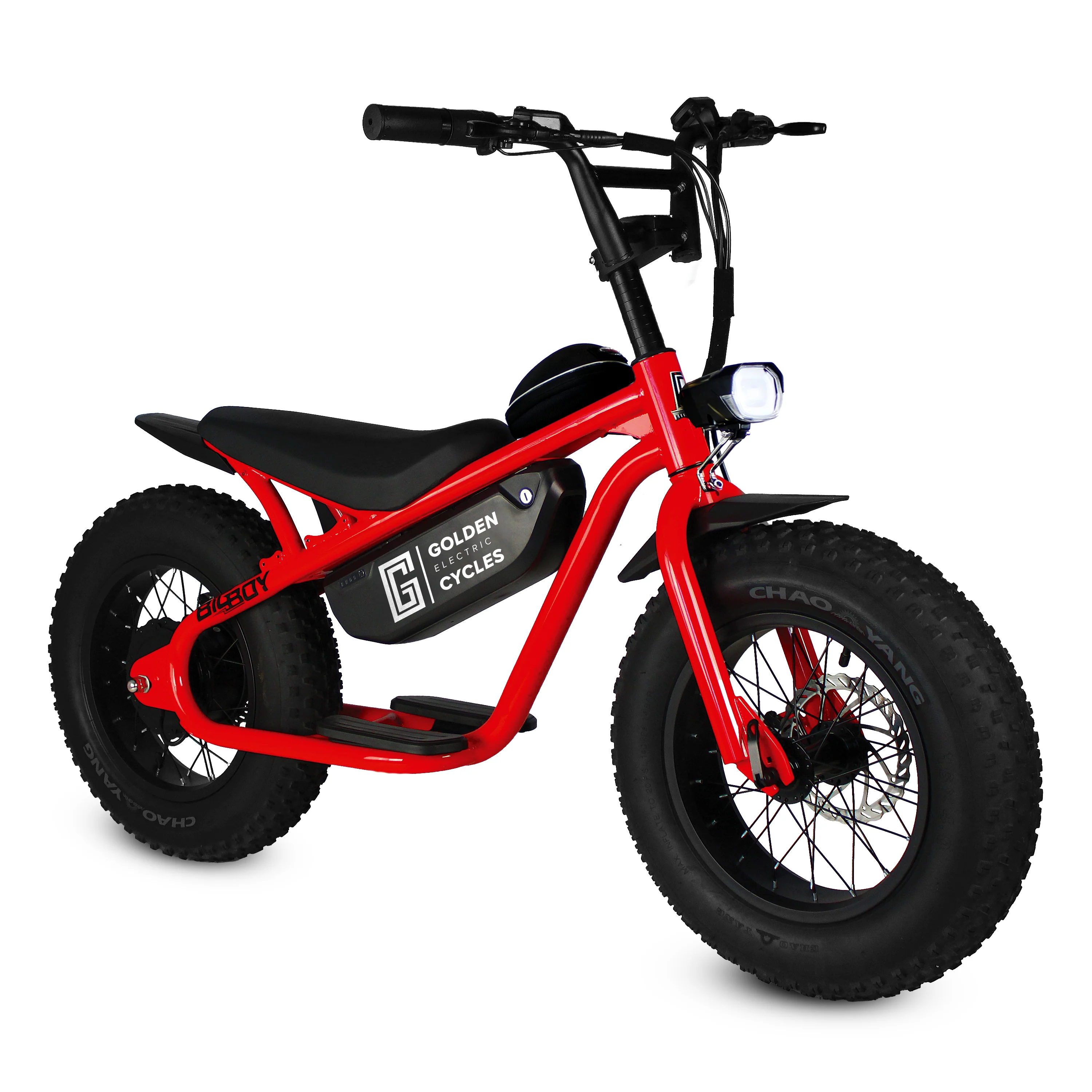 Golden Cycles Big Boy Electric Bike - Image 5