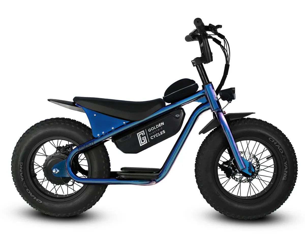 Golden Cycles Big Boy Electric Bike - Image 8