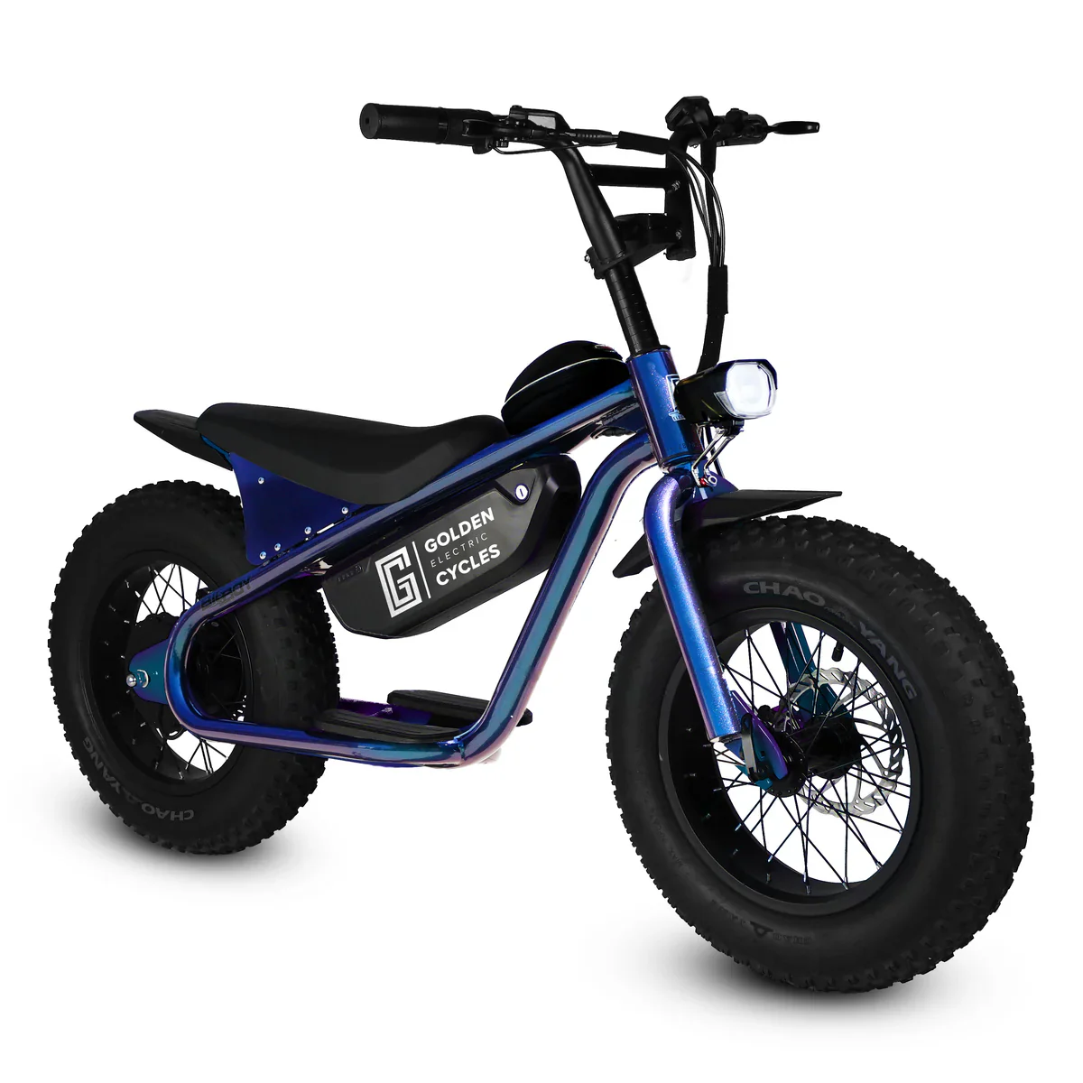 Golden Cycles Big Boy Electric Bike - Image 9