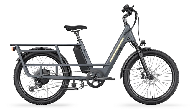 Letrigo Minivan SE Electric Bike