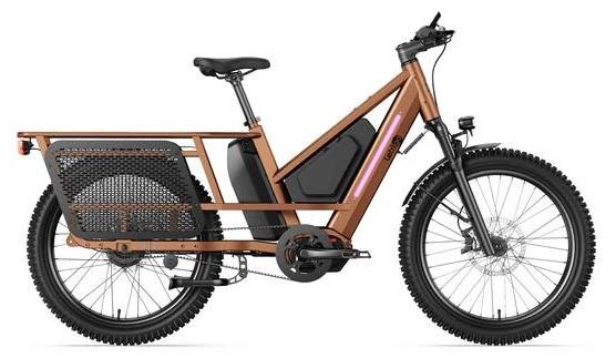 Letrigo Workhorse Electric Bike